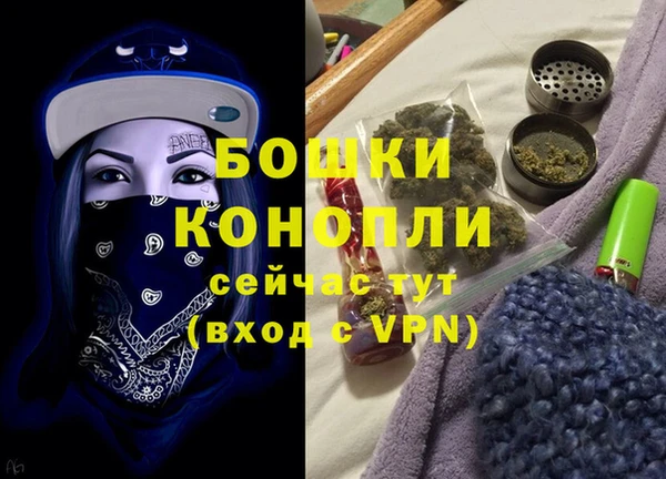 стафф Дмитров