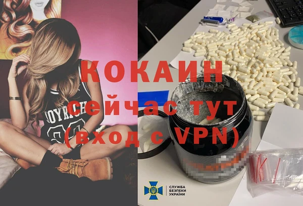 стафф Дмитров