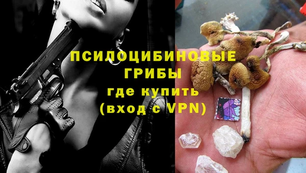 стафф Дмитров