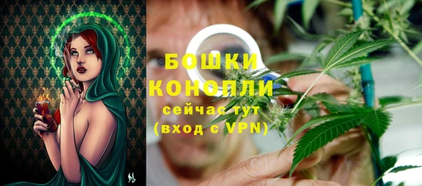 стафф Дмитров