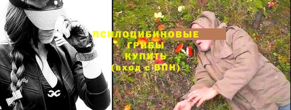 стафф Дмитров